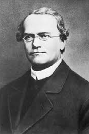 mendel